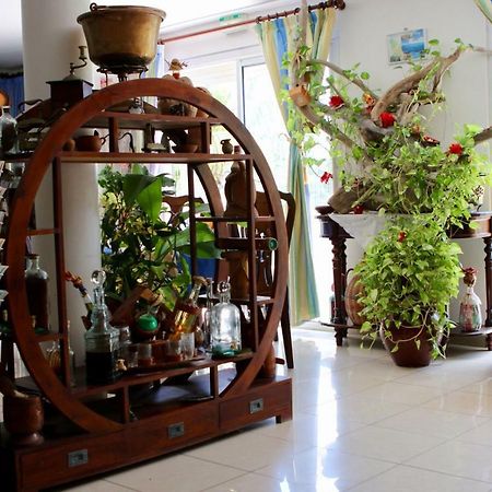Bed & Breakfast 6 Suites Piscine Et Plage Pointe Faula Le Vauclin Buitenkant foto