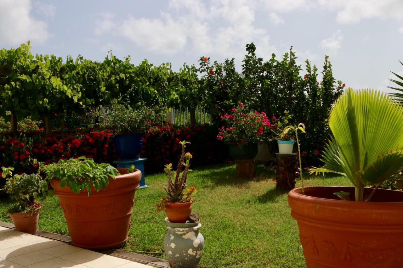 Bed & Breakfast 6 Suites Piscine Et Plage Pointe Faula Le Vauclin Buitenkant foto