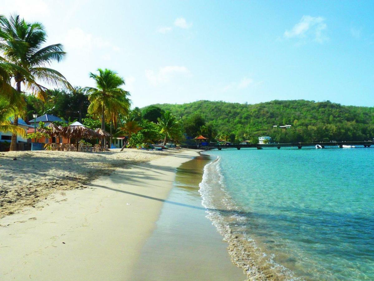 Bed & Breakfast 6 Suites Piscine Et Plage Pointe Faula Le Vauclin Buitenkant foto